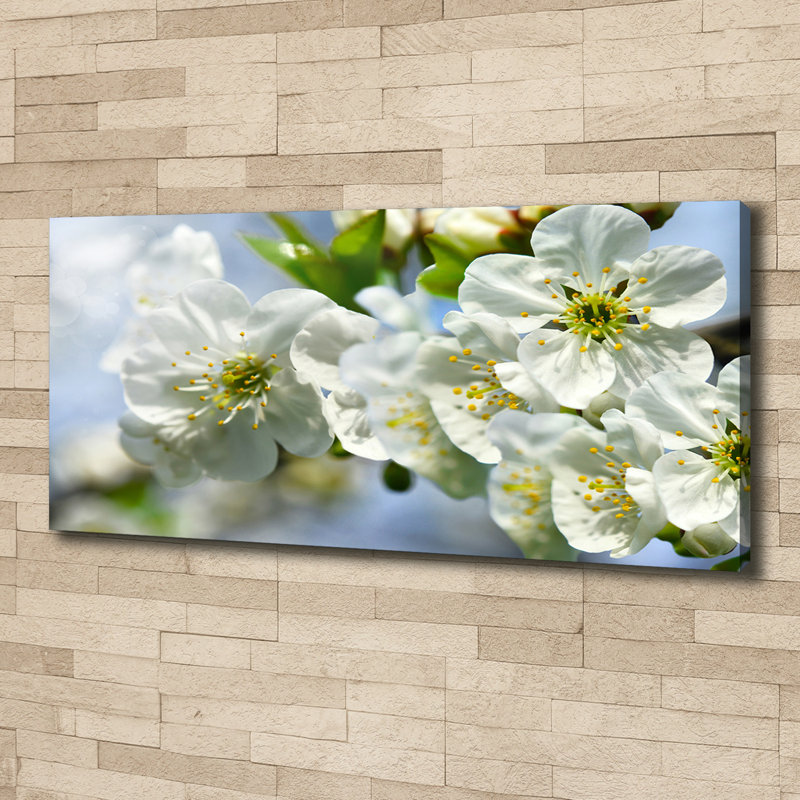 Cherry Blossom - Wrapped Canvas Print
