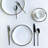 Twig New York Platinum Edge Dinnerware-95453218