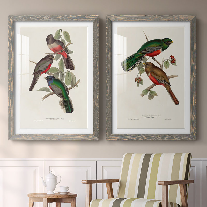 Impression encadrée Elegant Trogons V-Premium - prêt à être accroché, H 27,5 po x l 75 po x P 1,5 po, Gris