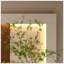 Décoration murale réglable en grès à 3 couleurs DEL avec plantes vertes simulées - sculpture d'art 3D, vase en verre et statue de lapin pour l'esthétique de la maison