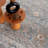 Jascha Oriental Indoor Rug-204187446