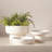 Encircle Tazza-60070824-64114110