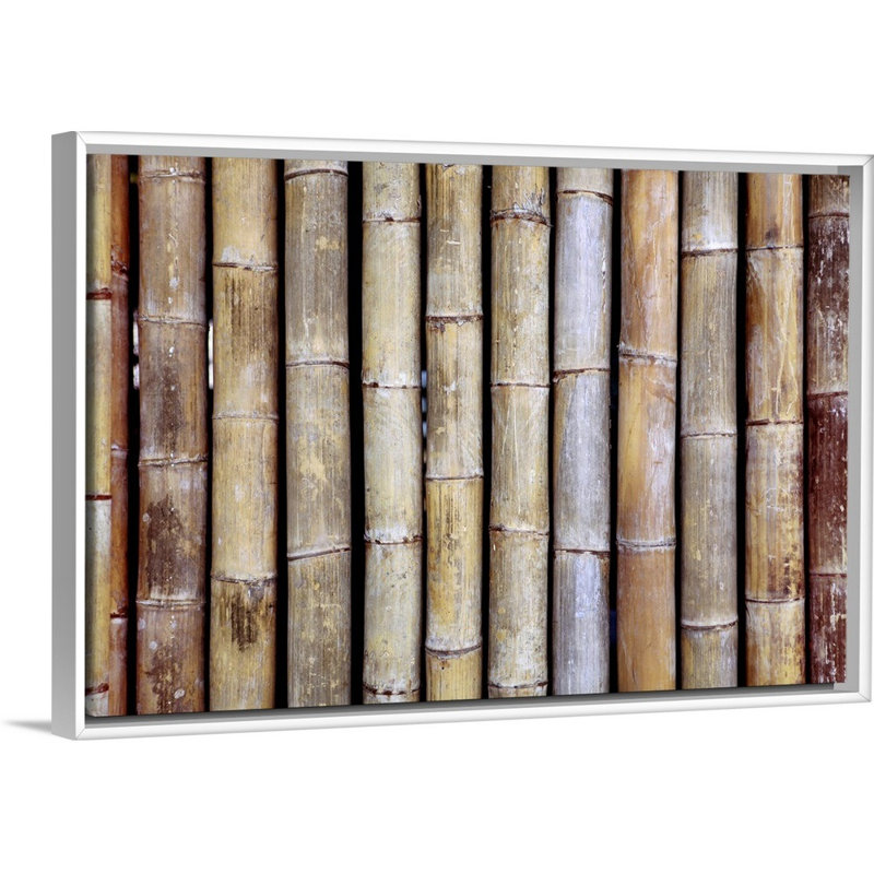 Bambou, H 32 po x l 48 po x P 1,75 po, Toile avec cadre blanc