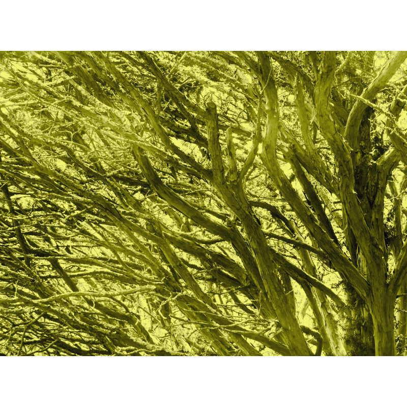 Dusk As Dawn Print by Drew Gaffney, Wrapped Canvas, 32" H x 24" W