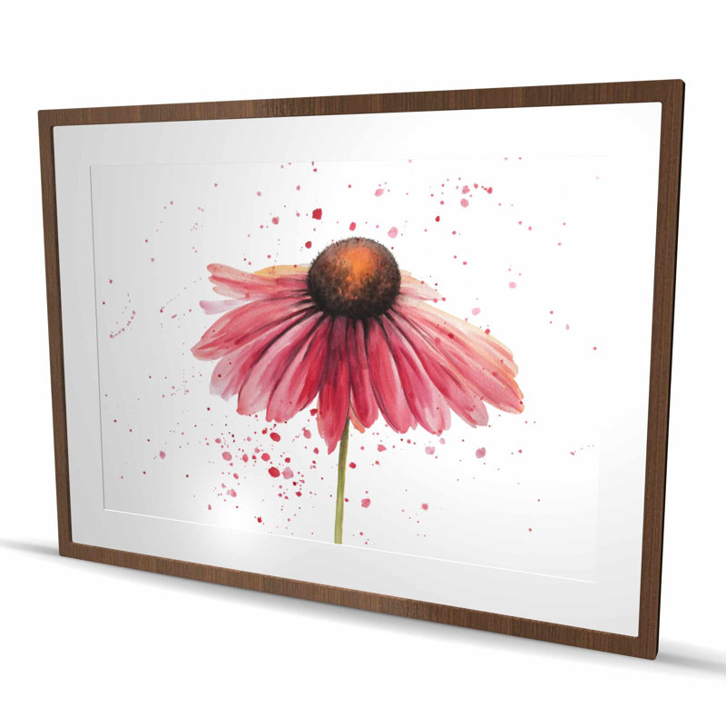 Rose marguerite - salon botanique, H 36 po x l 48 po