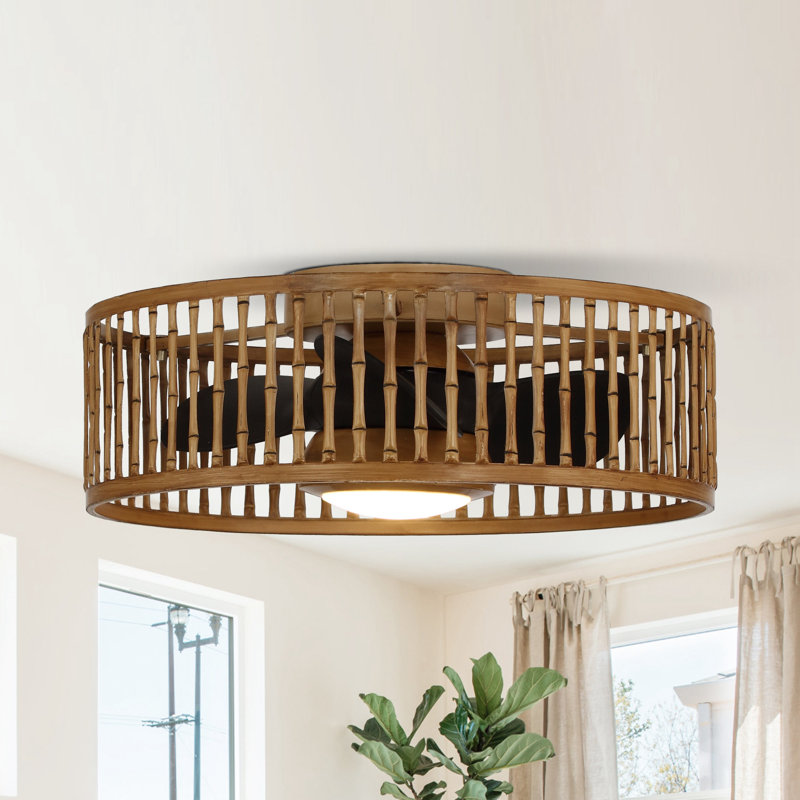 Ventilateur de plafond en cage 19,5 "avec lumières DEL et télécommande Roseland