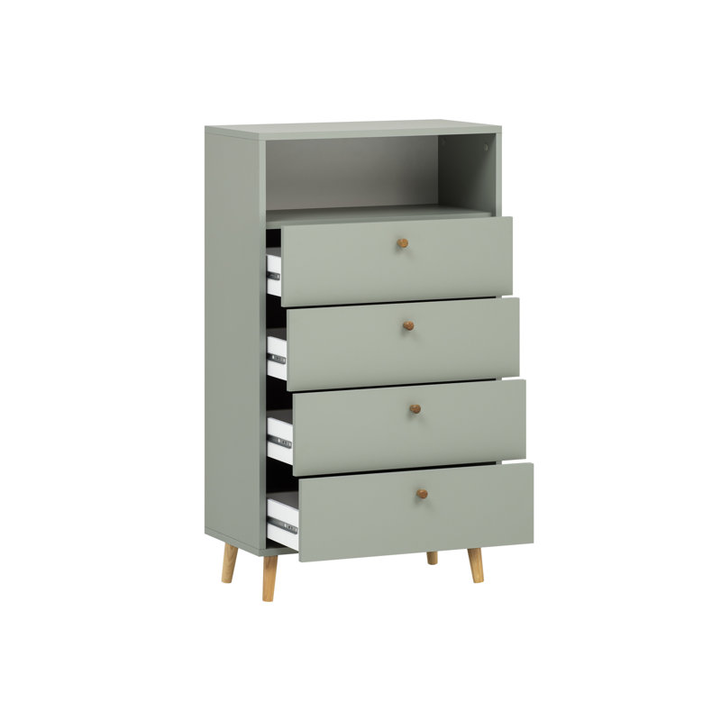 McDermitt Rectangle Storage Unit Accent Chest, Green