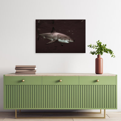 Grand requin poisson contemporain, impression d'art mural