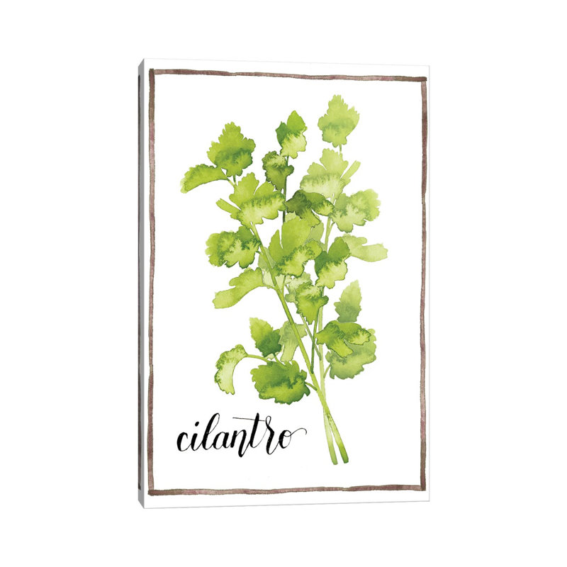 Watercolour Herbs IV - Wrapped Canvas Print, 101.6 cm H x 66.04 cm W