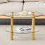 Contemporary Minimalist Double Layer Tempered Glass Coffee Table, Living Room Table
