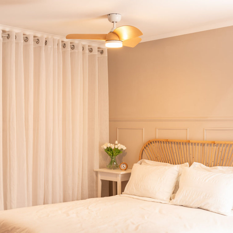 Osmel 36cm Ceiling Fan with LED Lights