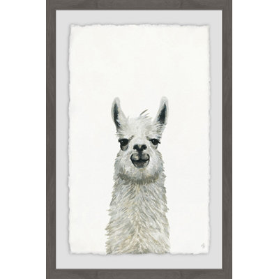 Rashad Llama Close-up - Single Picture Frame Painting