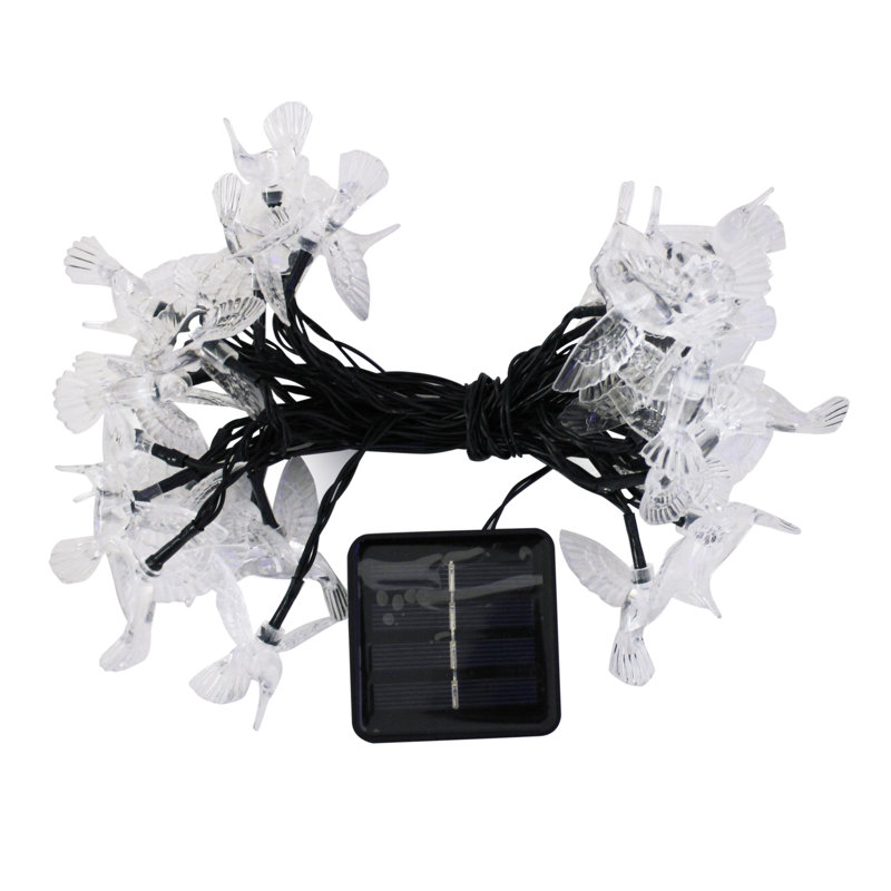 Eisele Indoor 30 - Bulb 256'' Solar Powered LED String Light
