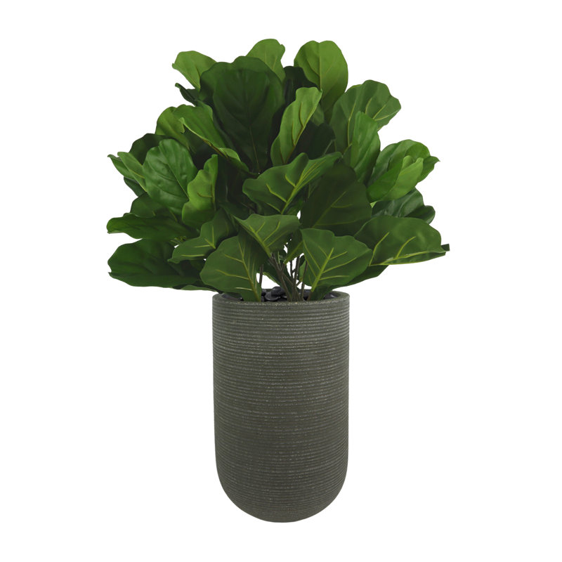 Faux Fiddle Leaf Fig Tree in Fiberstone Planter