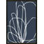 Tracings 4 by Romina Gadler - Framed Wall Art-977434546-977434552