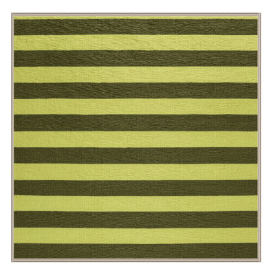 Machine Washable Horizontal Stripes Brown Area Rug