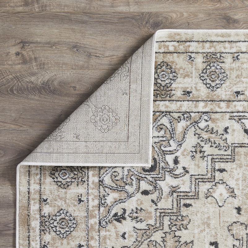 Aldijana Oriental Indoor Rug, Rectangle 6'7" x 9'2"