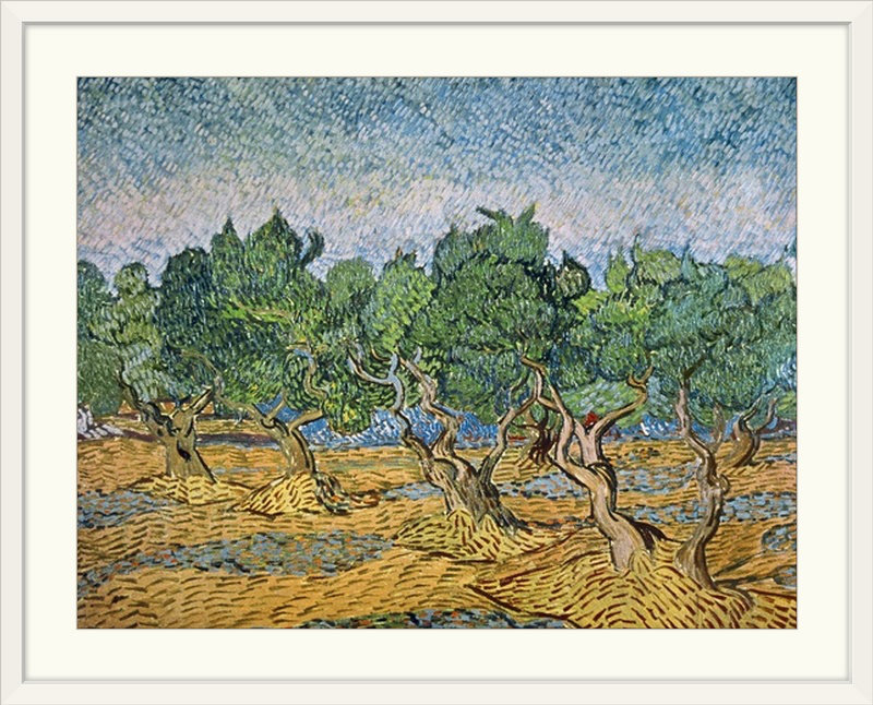 «Olive Orchard, Violet Sol» par Vincent Van Gogh - impression, H 18 po x l 24 po x P 1,5 po, Toile
