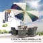 Parasol de patio 9 pi, parasol inclinable UPF 50+ avec manivelle, couleur mixte