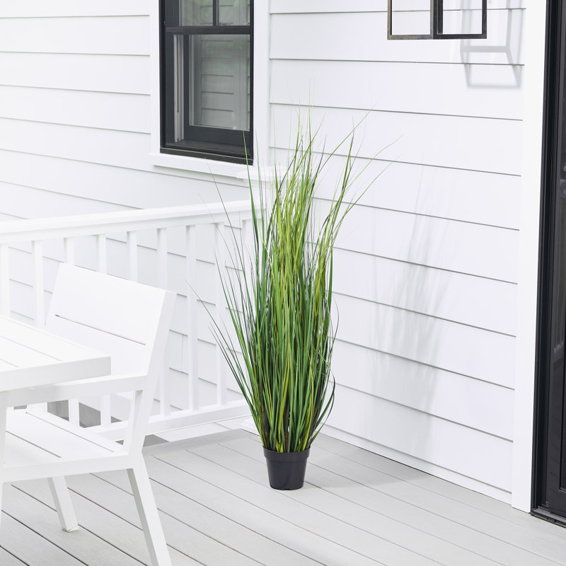Herbe 60 po, 60 in x 14 in