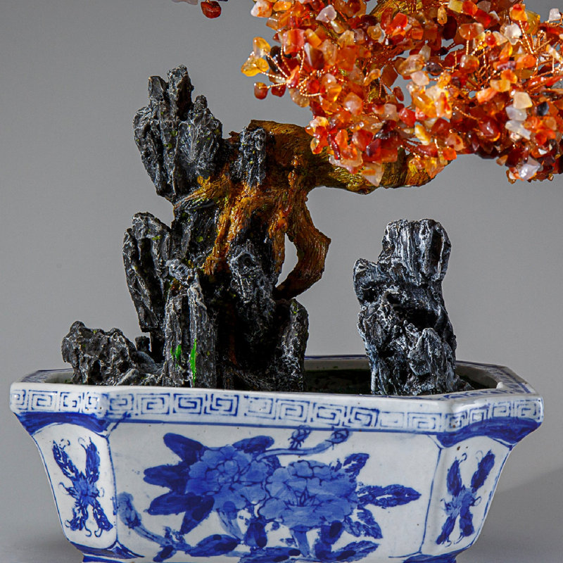 Véritable bonsaï cornaline en pot carré en céramique (13 po)