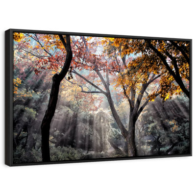 Impression sur toile Forest Sun Rays