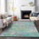 Machine Washable Indoor/Outdoor Brathwaite ACN2166 Abstract Rug