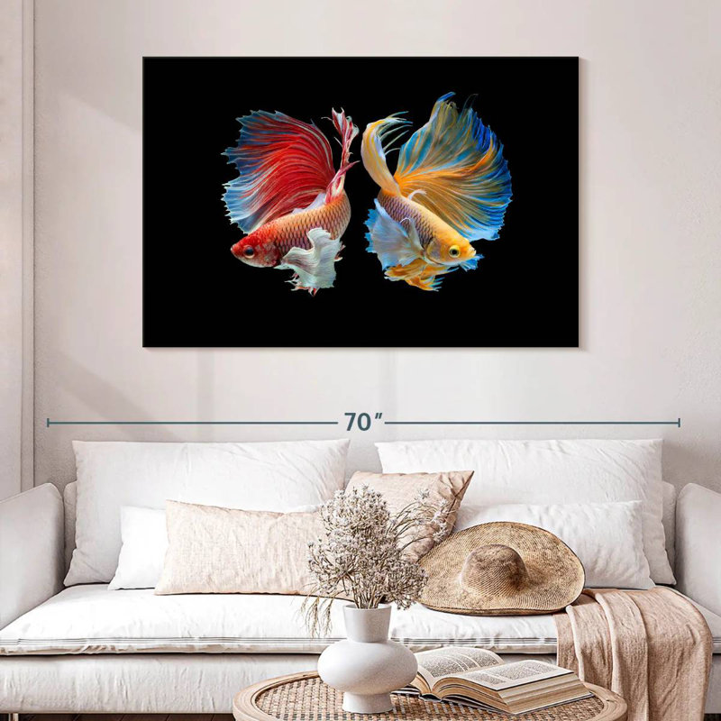 Betta Fish In Sync, H 32 po x l 48 po