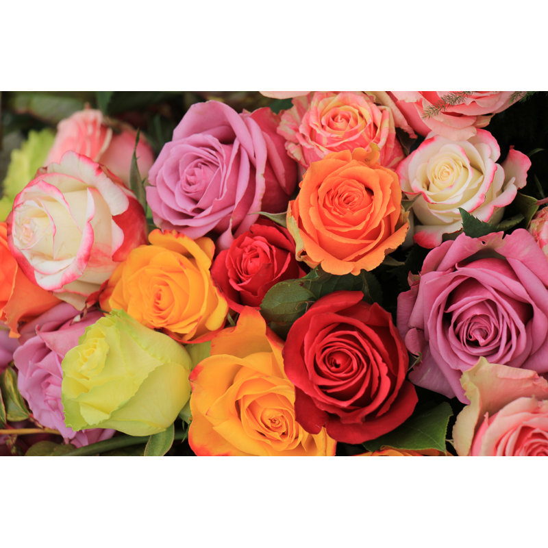Multicoloured Wedding Roses by Studioportosabbia - Wrapped Canvas Print, 81cm H x 122cm W