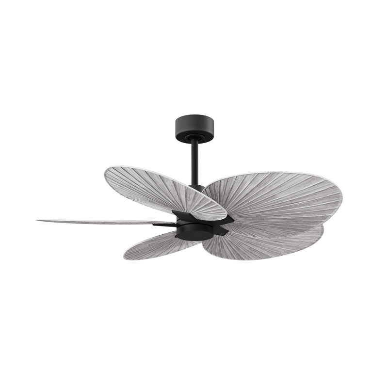Alessandra - Five Blade Ceiling Fan, Matte Black, Barn Wood Tone