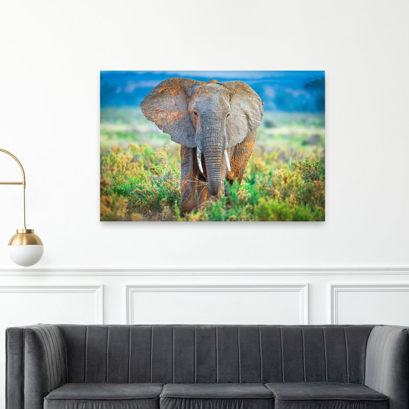 Majestic African Elephant Contemporary Elephant Nature Wildlife Wall Art Print by Jeffrey C. Sink - 1 Piece Wrapped Canvas Wall Art