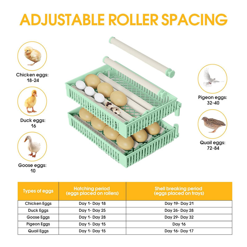 Incubators for Hatching Eggs, Egg Incubator with Automatic Egg Turning and Humidity Monitoring, Incubator for Chicken Eggs, 18-24 Eggs Incubator with Egg Candler for Duck Goose Quail Eggs