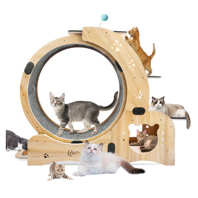 Roue d'exercice 6-en-1 pour chat en bois avec tapis roulant silencieux, grande roue de course intérieure pour chat et tour de mobilier à plusieurs niveaux