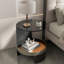 Dakiya Frame End Table
