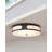 Swale Outdoor Flush Mount