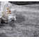 Jocelynn Abstract Area Rug