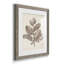 Antique sépia botanicals V - ensemble de 2 reproductions d'art sur papier encadré-1612667910-1612667911