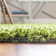 Torunn Grass Green Area Rug