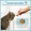 Scratching Post