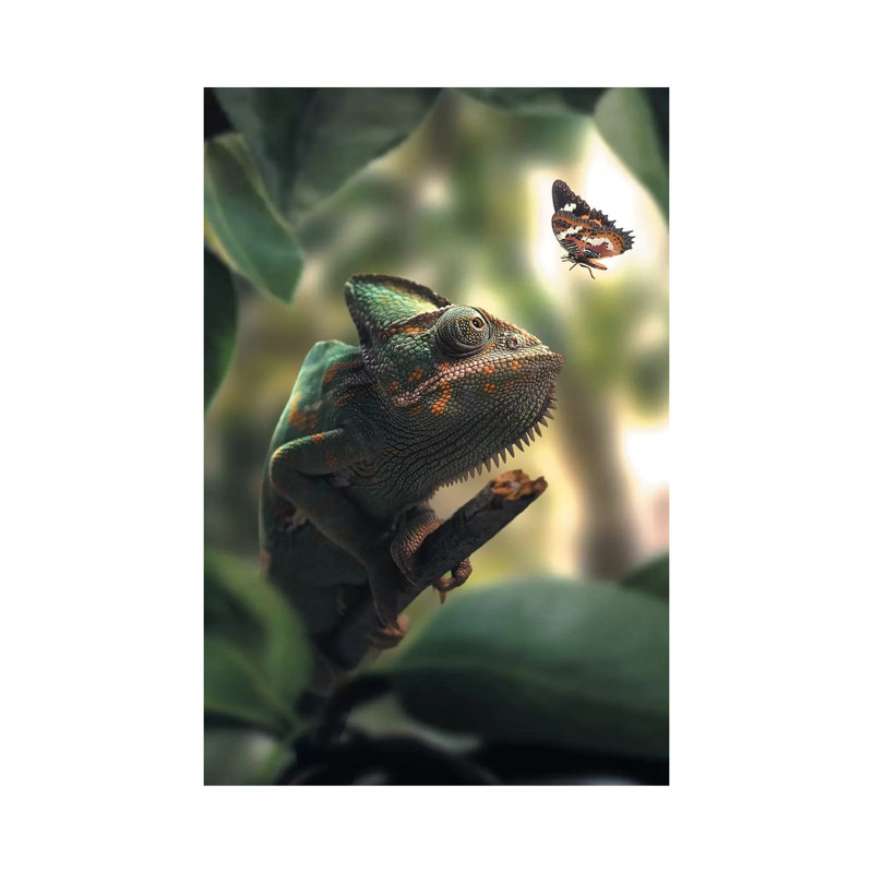 Chameleon Butterfly by Zenja Gammer - Print on Canvas, Wrapped Canvas, 66.04 cm H x 45.72 cm W x 1.91 cm D