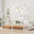 Blanc antique est en rupture de stock