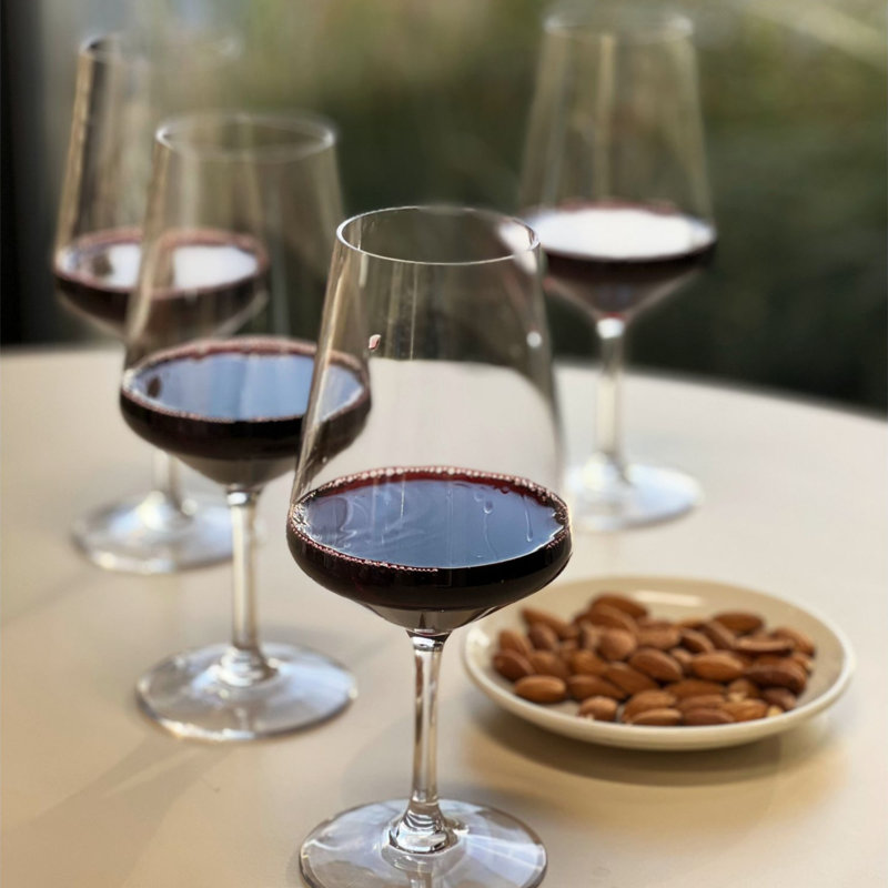 Ensemble de 4 verres à vin incassables Tritan Lexington de 19 oz sans plomb