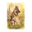 Animals Trudi Simmonds Little Buddy Canvas Art-90733897