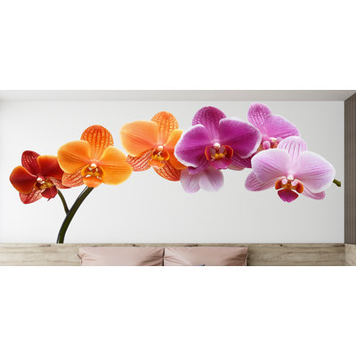 Autocollant mural orchidée, décoration murale florale colorée, orchidée rose et orange, décoration florale tropicale pour chambre, autocollant mural botanique 304 g