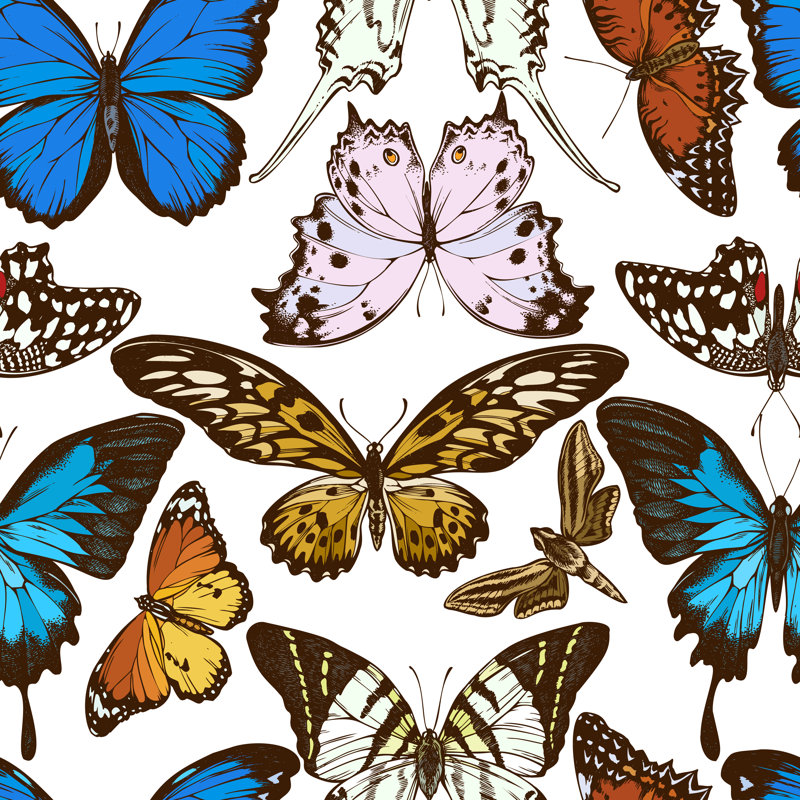 "Tomasi Butterfly" sur toile par Alisa Pravotorova, impression, H 12 po x l 12 po