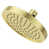 Brushed Gold est en rupture de stock
