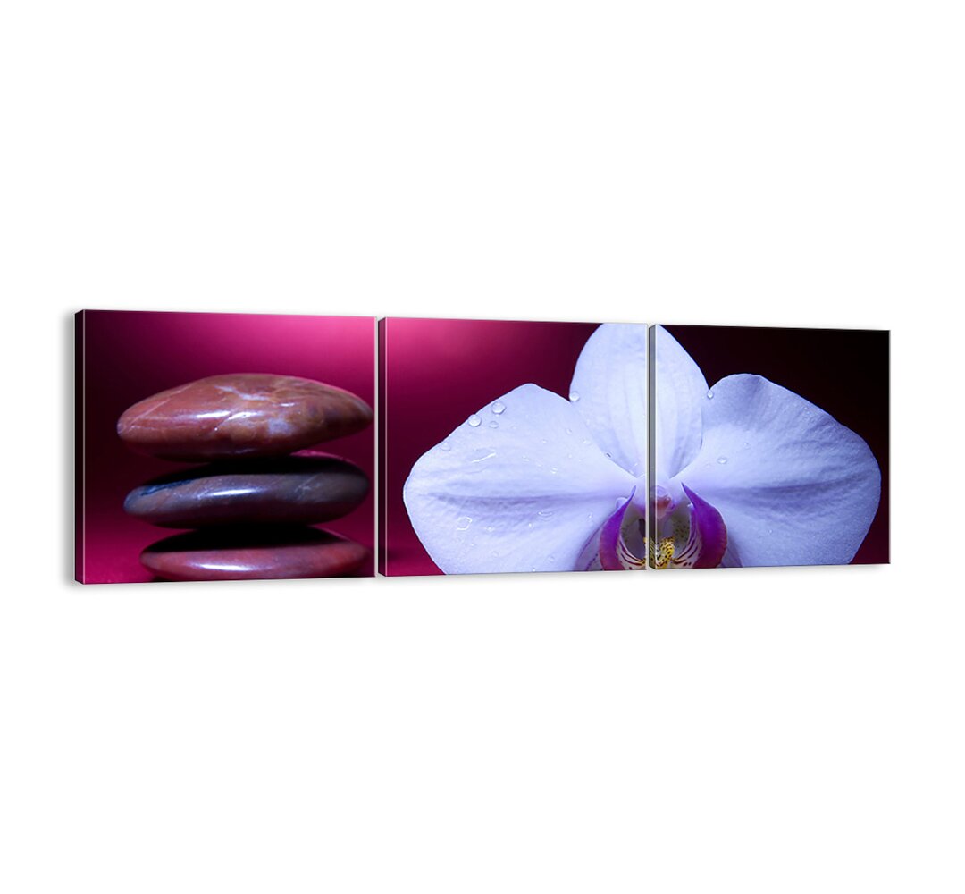 3-tlg. Leinwandbilder-Set - Fotografie „A Study of Freshness in Purple”