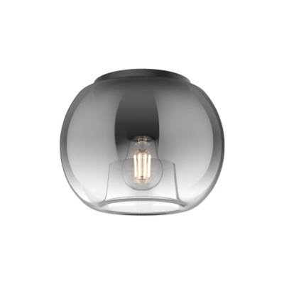 1 - Light Flush Mount