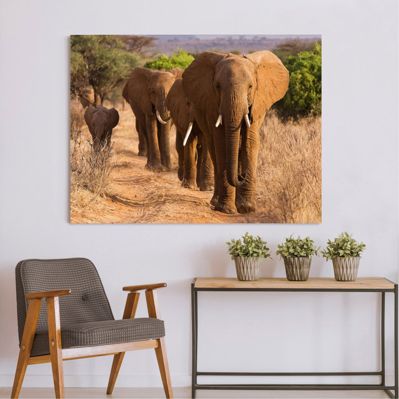 Herd Of African Elephants, Kenya by Anonymous - Wrapped Canvas Print, 60cm H x 80cm W x 4cm D