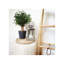 Cardboard Accent Stool-69317670